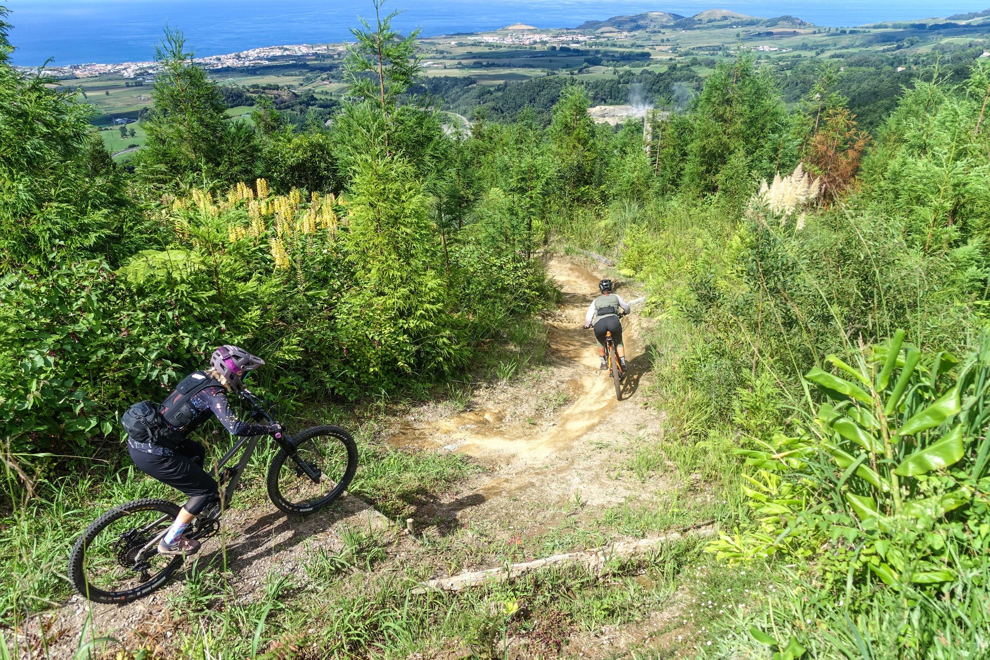 Private Tour — on the trail