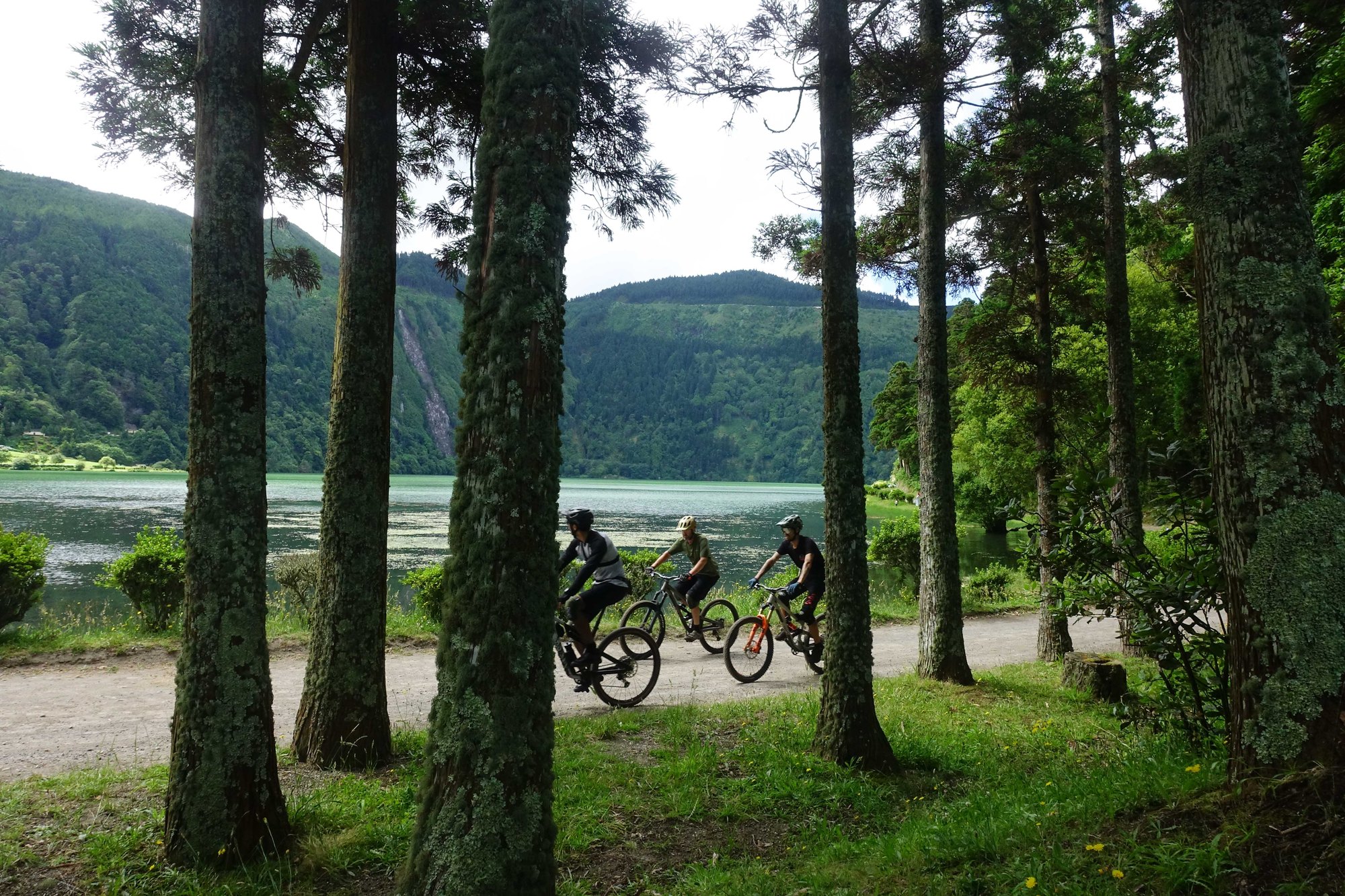 Private Tour — on the trail