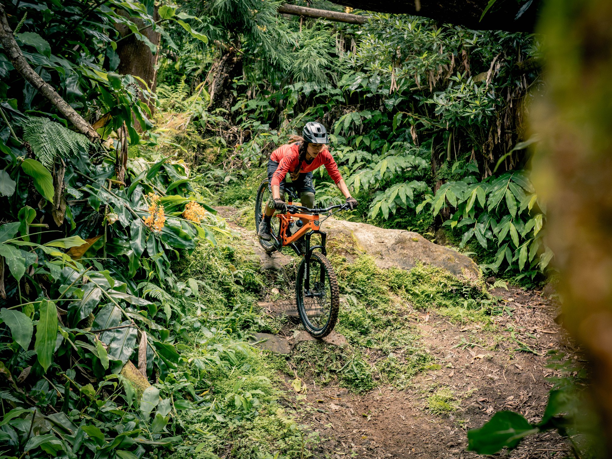 Private Tour — São Miguel — wherever you want to ride
