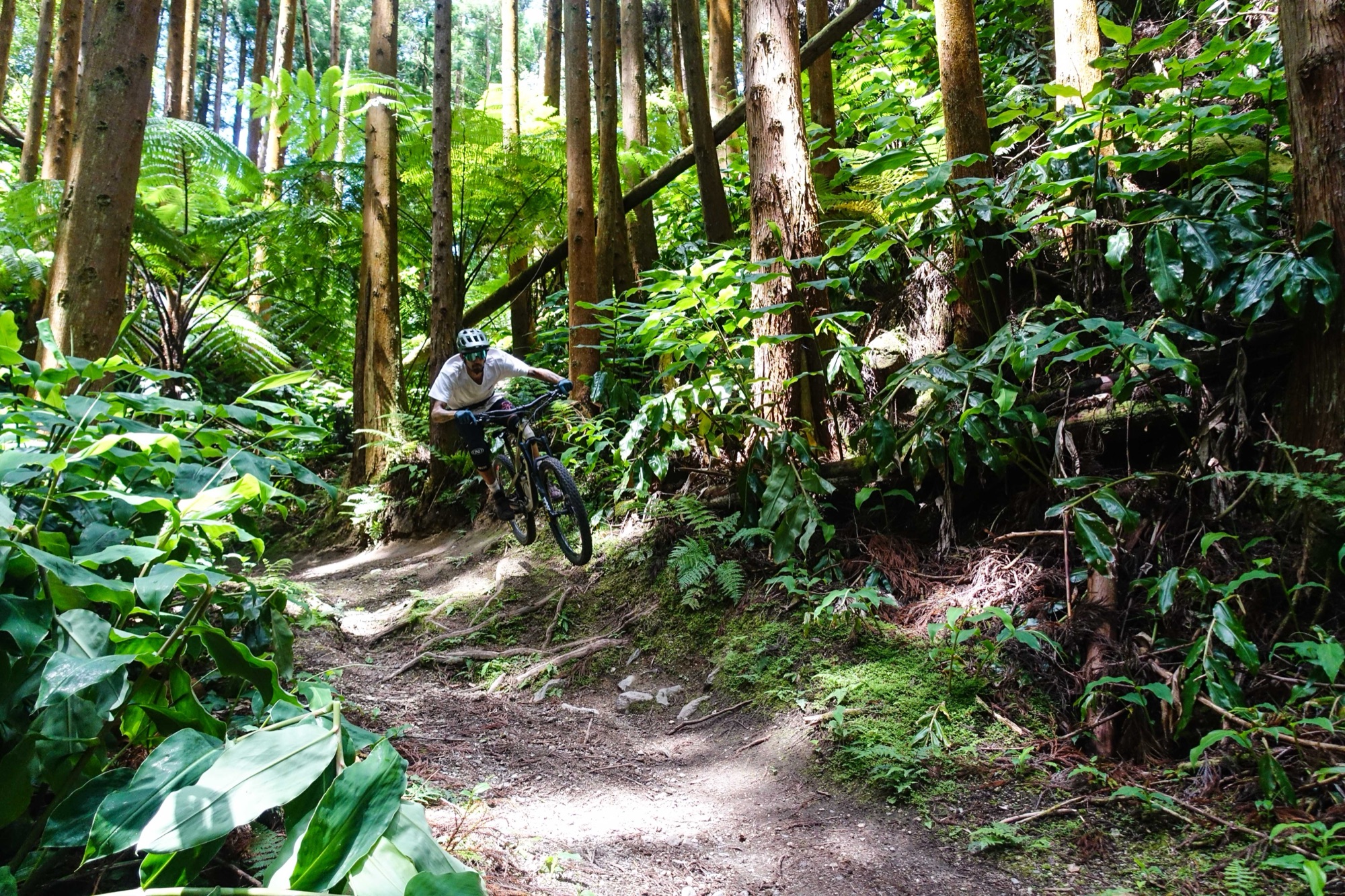 Enduro Paradise — São Miguel — ridges & river valleys