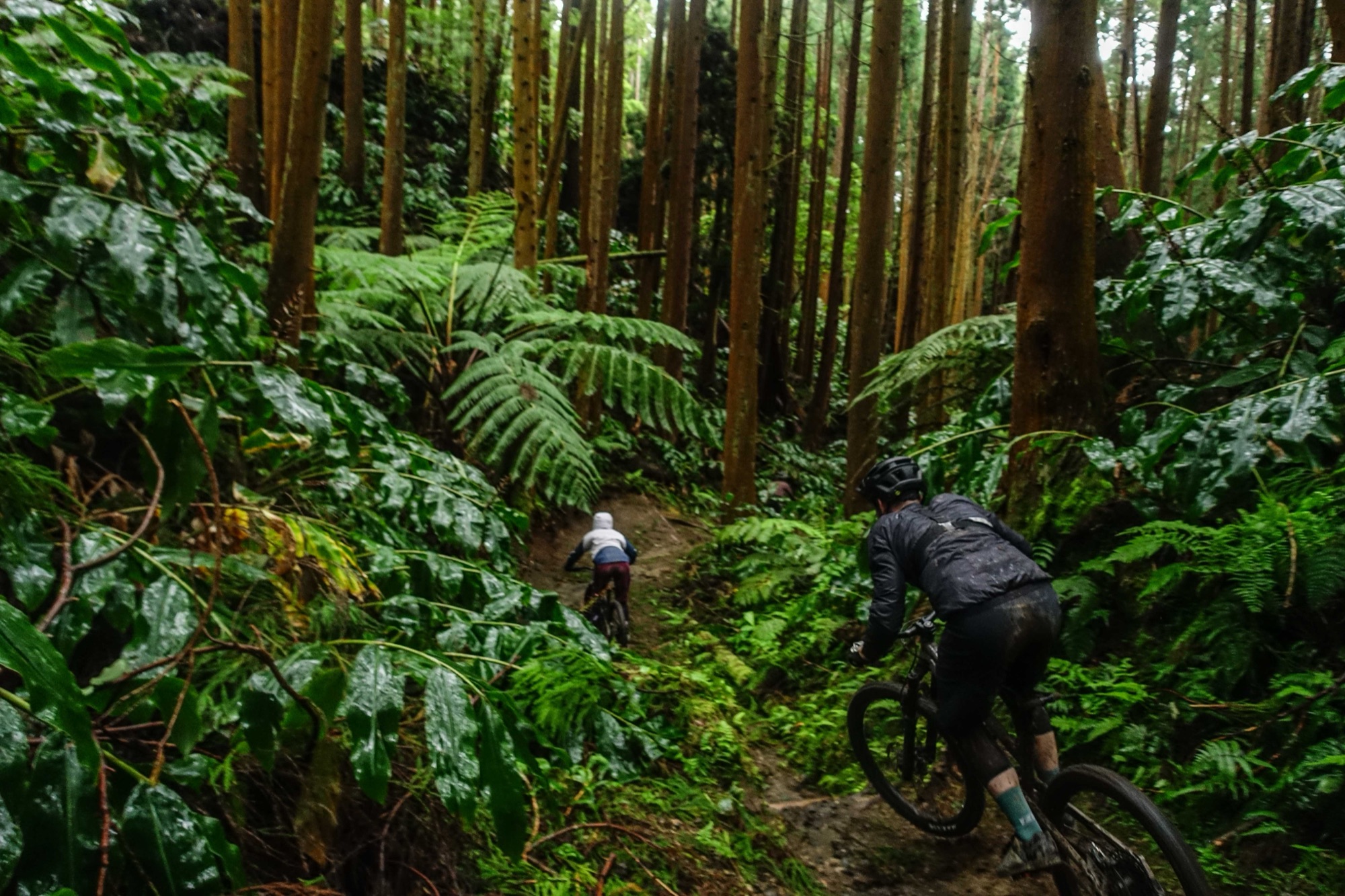Enduro Paradise — on the trail