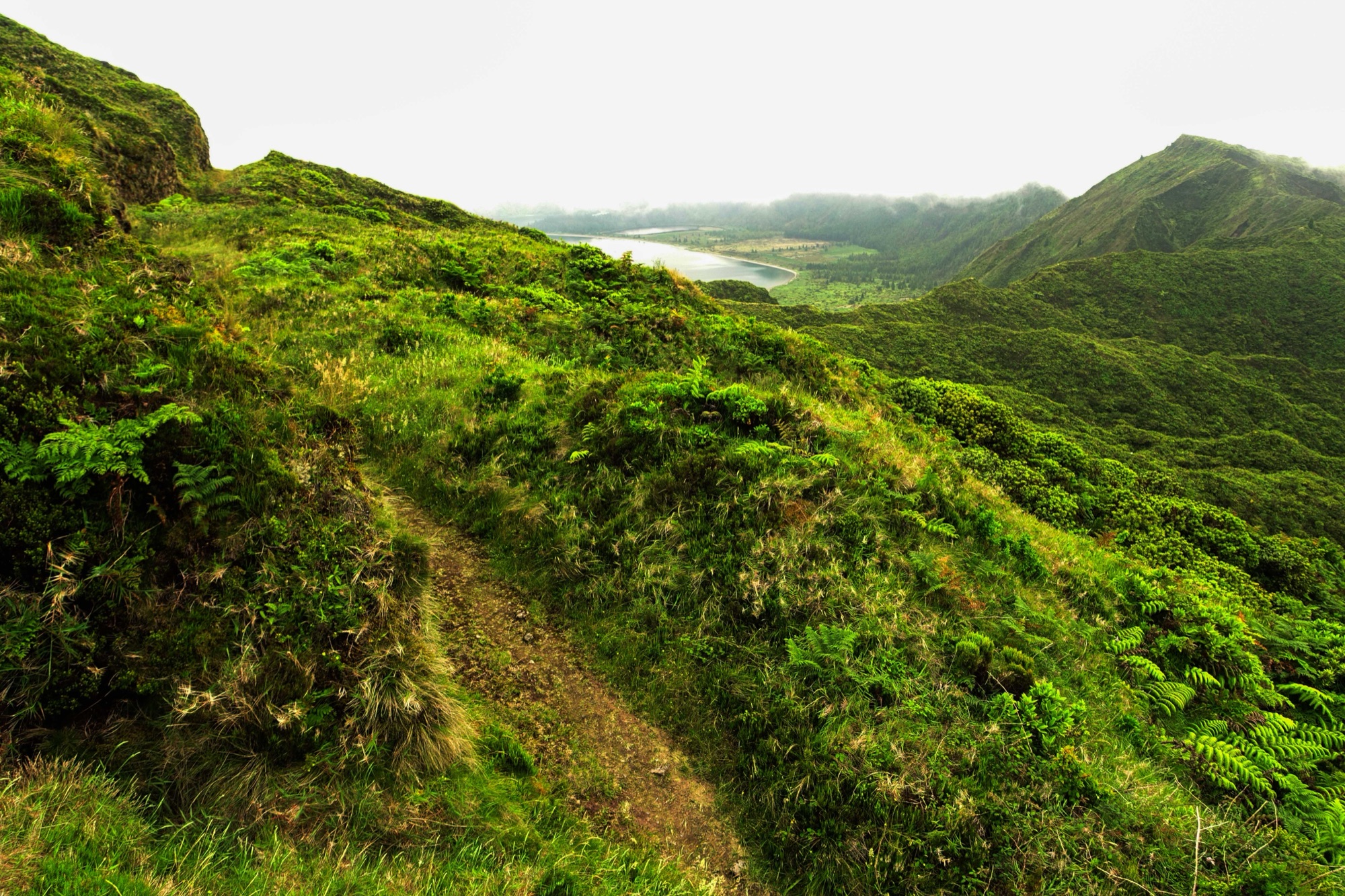 Traverse of the Wild — on the trail