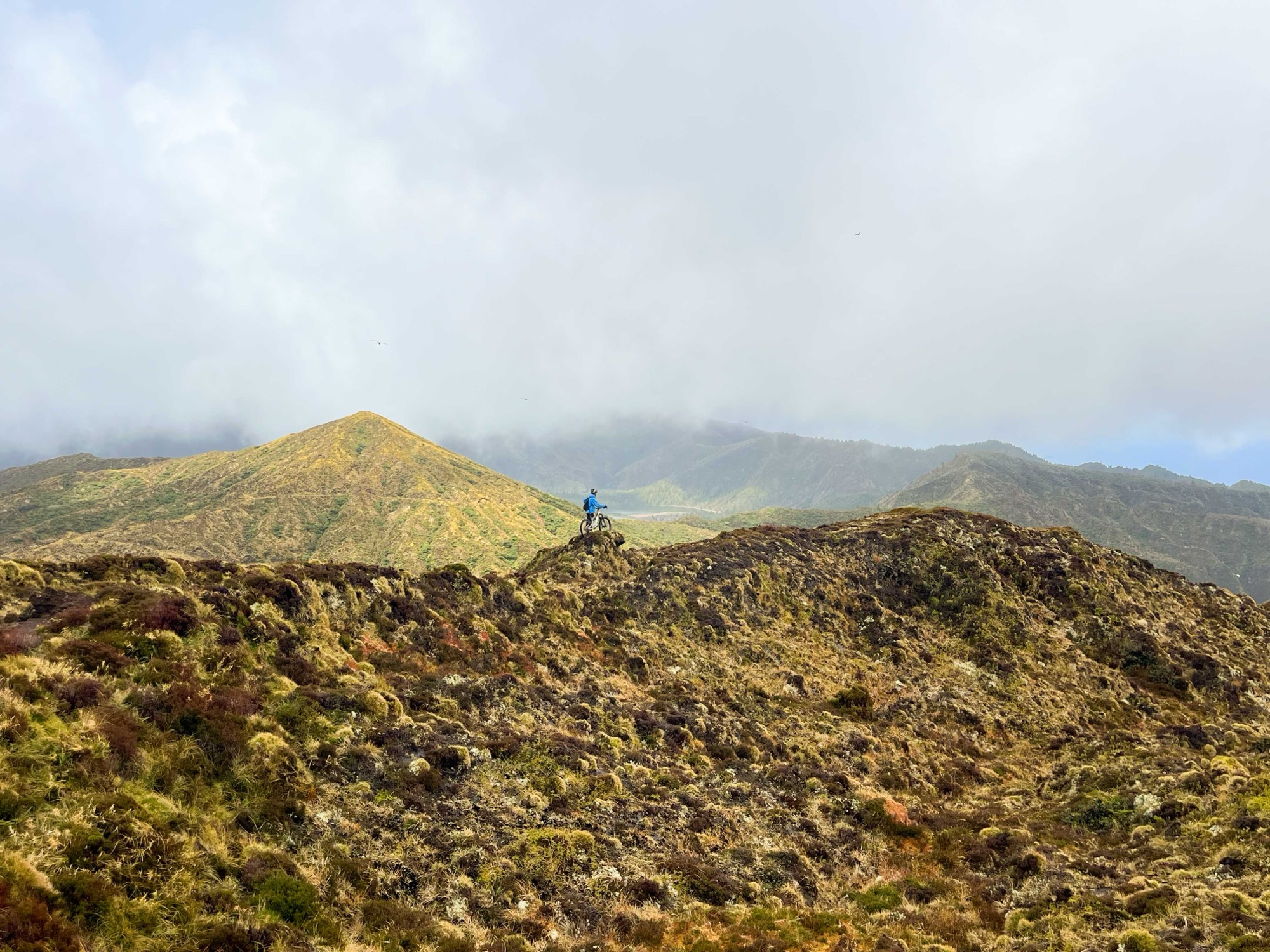 Traverse of the Wild — on the trail
