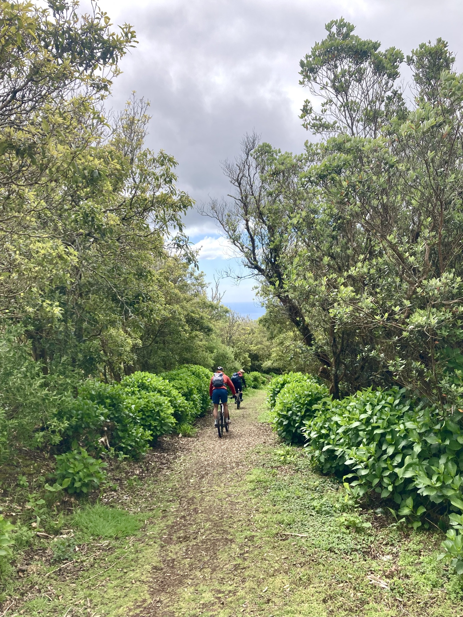 Forest to Coast — on the trail