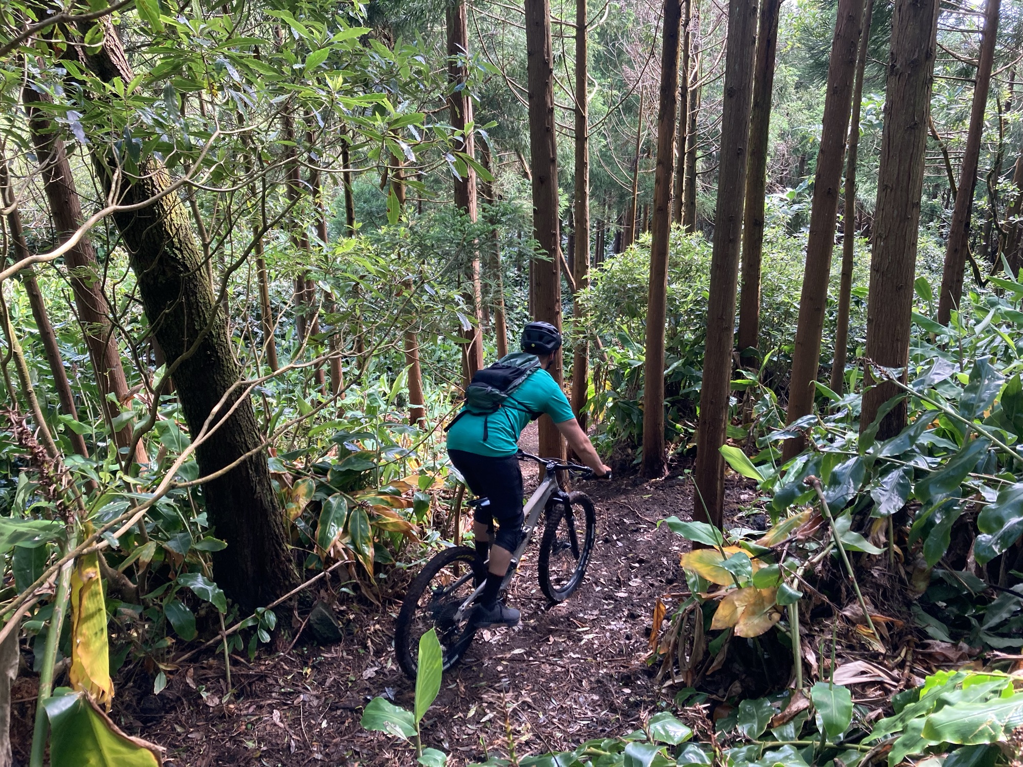 Forest to Coast — on the trail