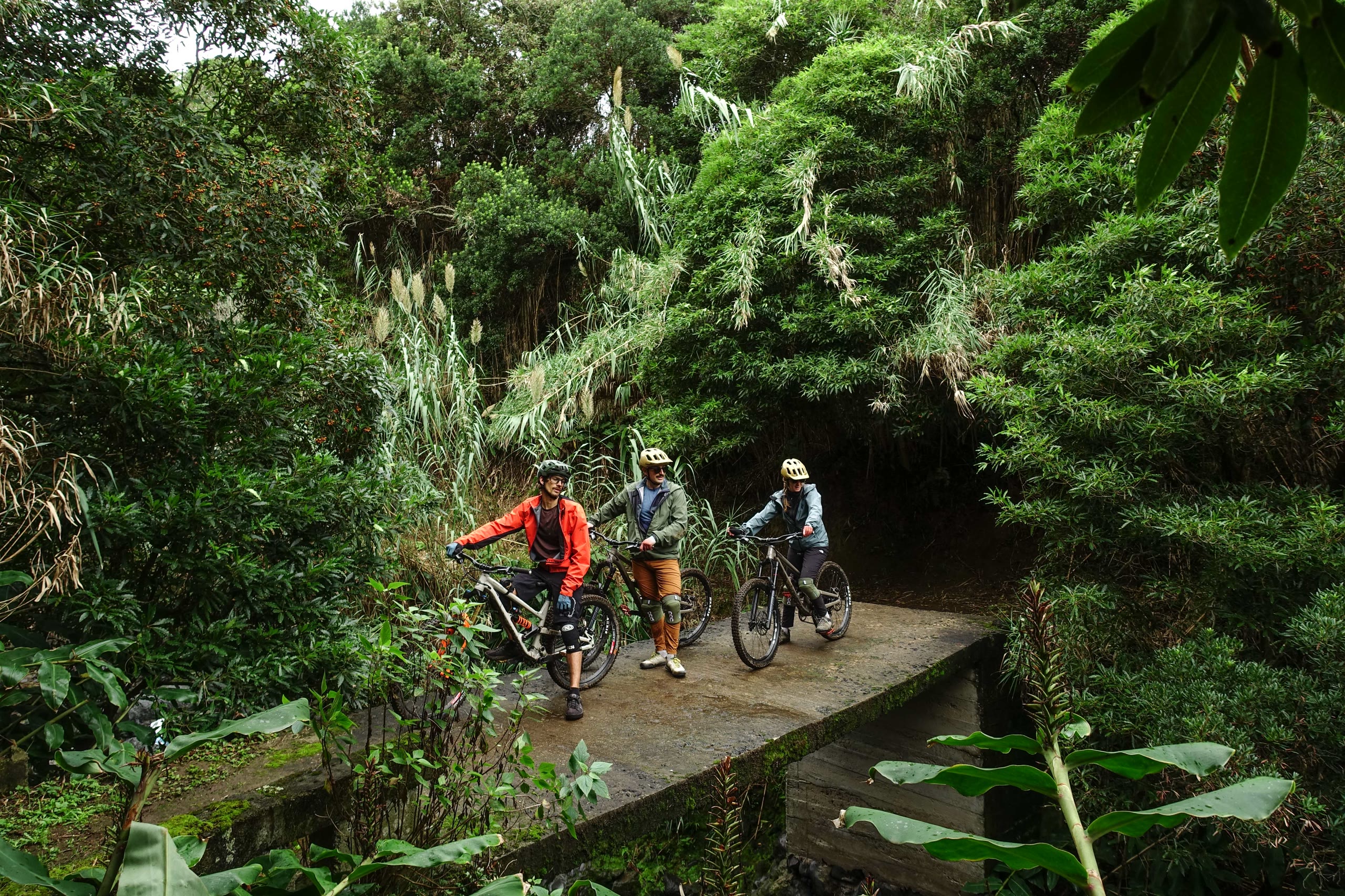 Volcanic Tales — Furnas & Gorreana — east
