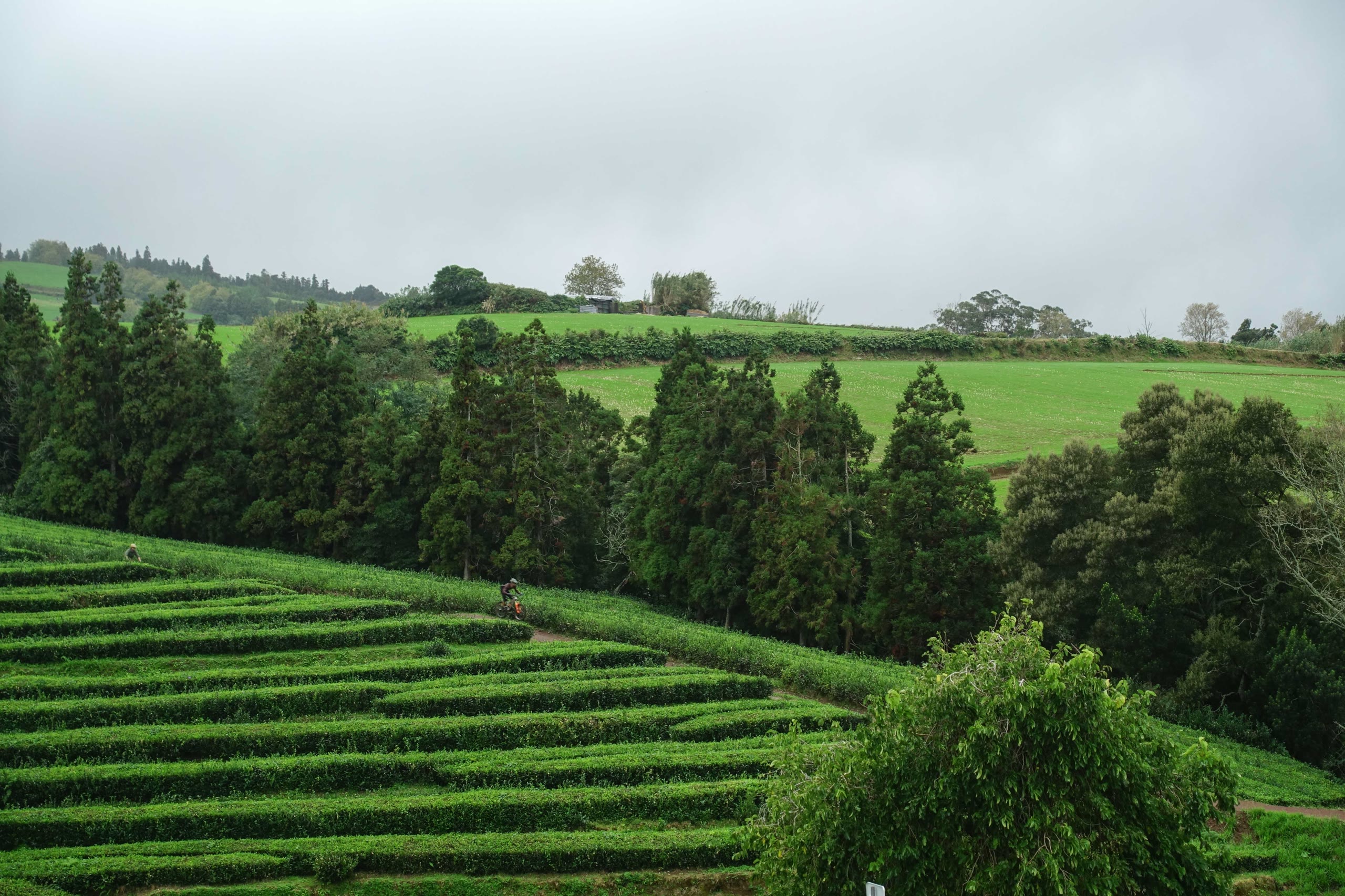 Volcanic Tales — on the trail