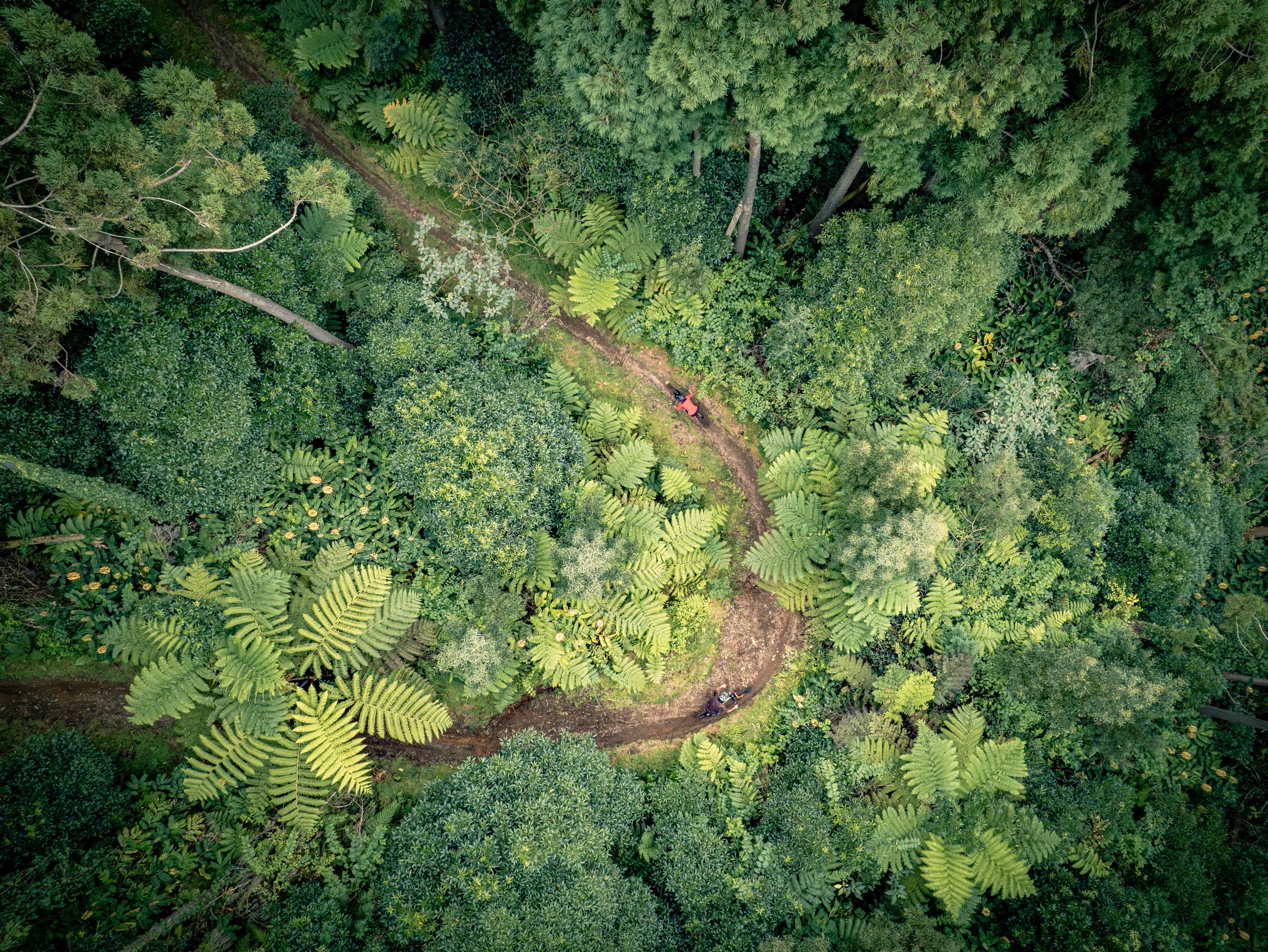 Volcanic Tales — on the trail