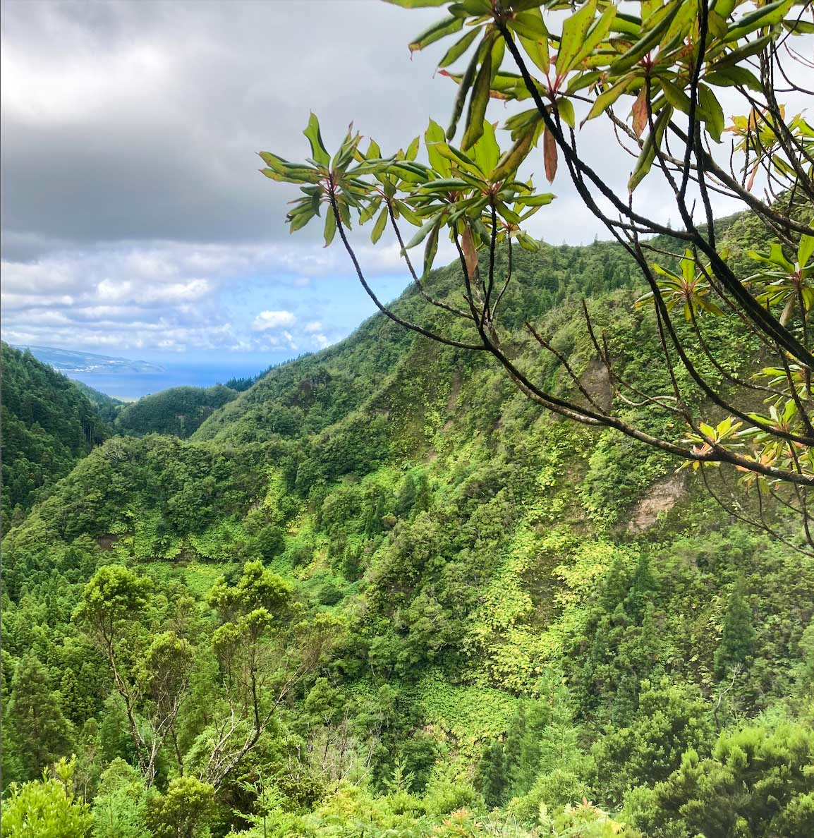 Volcanic Tales — on the trail