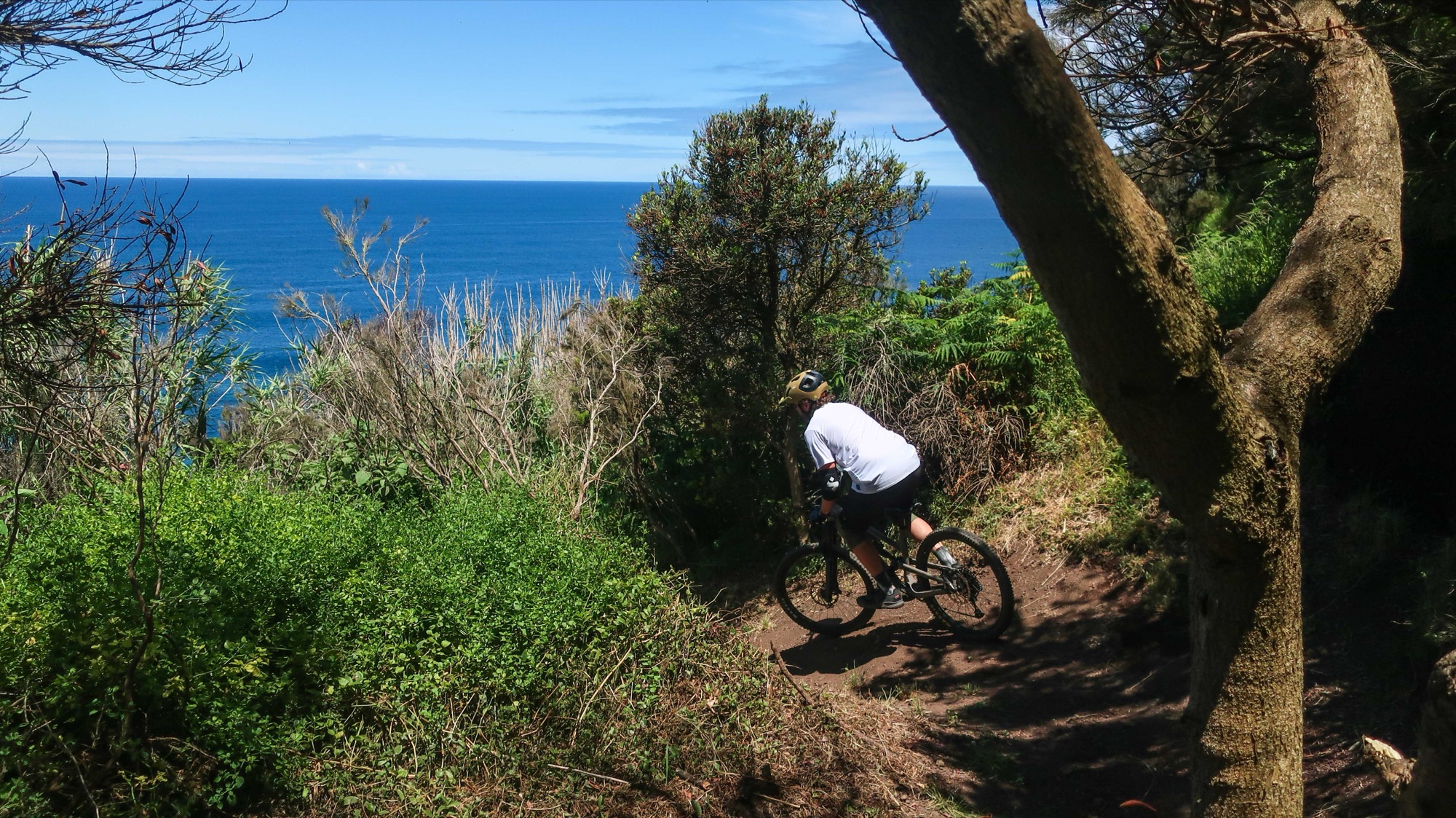 Westside — on the trail