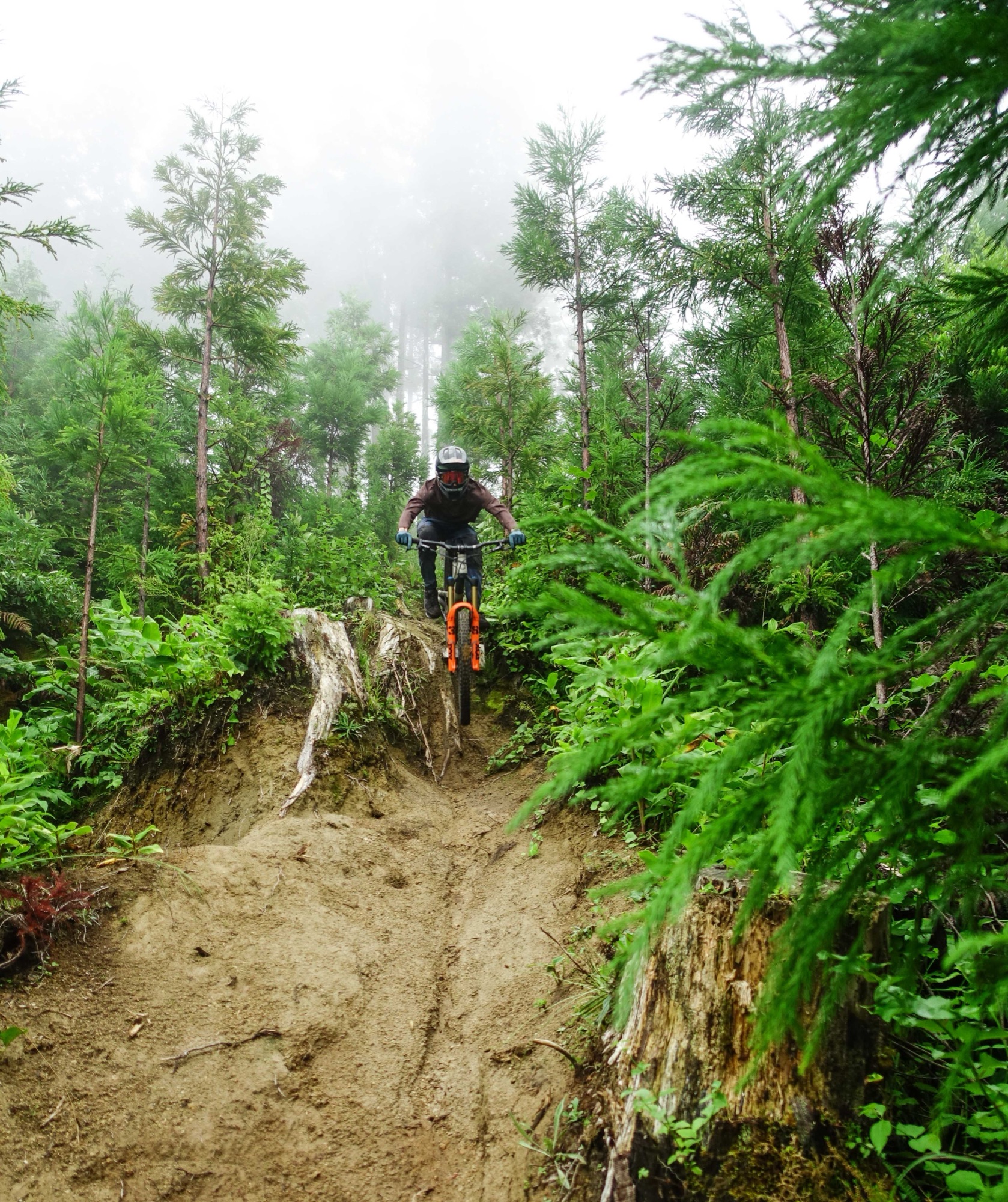 Westside — on the trail