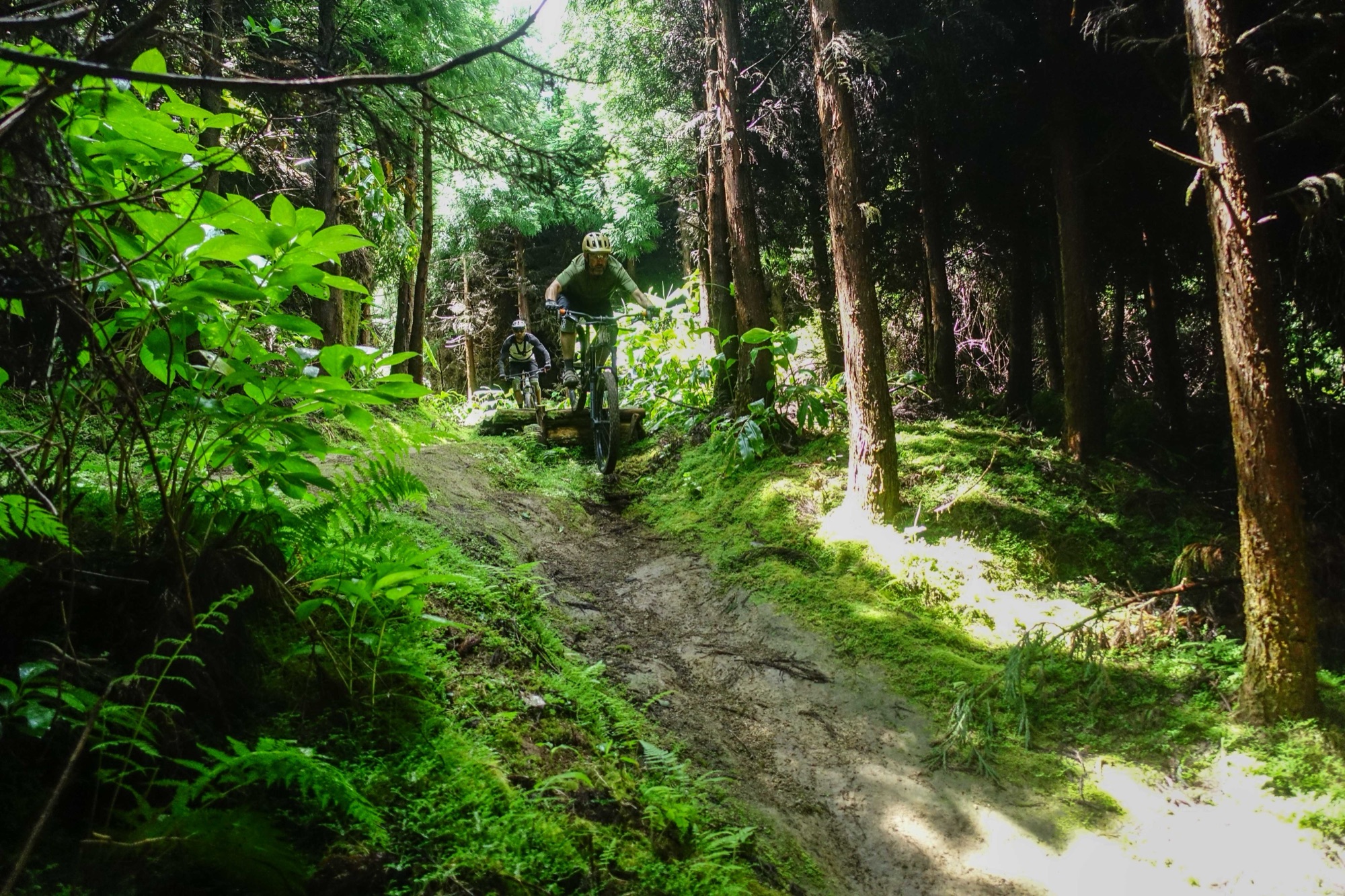 Westside — on the trail